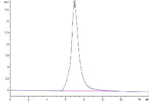 The purity of Biotinylated Human IL-1 Rrp2 is greater than 95 % as determined by SEC-HPLC. (IL1RL2 Protein (His-Avi Tag,Biotin))