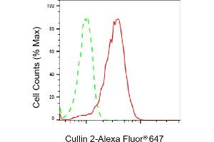 Flow cytometric analysis of Cullin 2 expression in HepG2 cells using Cullin 2 antibody (ABIN7798177), 1:2,000). (Recombinant Cullin 2 antibody)