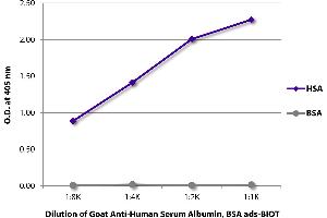 ELISA plate was coated with purified human serum albumin and bovine serum albumin. (Albumin antibody  (Biotin))