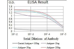 Black line: Control Antigen (100 ng), Purple line: Antigen(10 ng), Blue line: Antigen (50 ng), Red line: Antigen (100 ng), (Nucleostemin antibody  (AA 1-226))