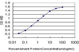 Detection limit for recombinant GST tagged FADD is approximately 0. (FADD antibody  (AA 109-208))