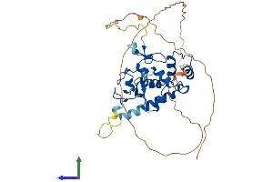 AlphaFold protein structure predicition of Mouse Recombinant Rffl Protein, UniprotID Q6ZQM0