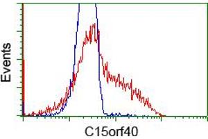 HEK293T cells transfected with either RC205773 overexpress plasmid (Red) or empty vector control plasmid (Blue) were immunostained by anti-C15orf40 antibody (ABIN2452852), and then analyzed by flow cytometry. (C15orf40 antibody)