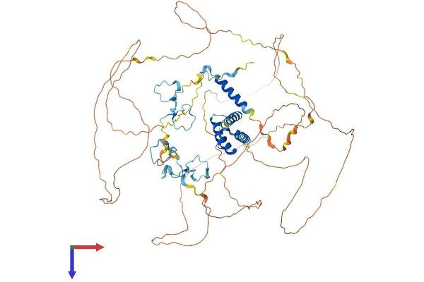 ZC3H14 Protein (AA 1-736) (His tag)