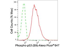 Flow cytometric analysis of phospho-p53 (S9) expression in HeLa cells using phospho-p53 (S9) antibody (ABIN7800684), 1:2,000). (Recombinant p53 antibody  (pSer9))