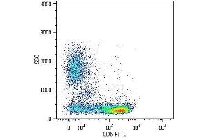 Surface staining of human peripheral blood cells with anti-human CD6 (MEM-98) FITC. (CD6 antibody  (PE))
