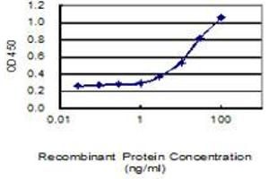 Detection limit for recombinant GST tagged HMGB1 is 1 ng/ml as a capture antibody. (HMGB1 antibody  (AA 1-215))
