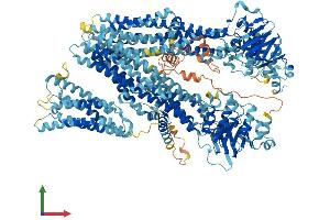 Protein Structure (PS) image for ATP-Binding Cassette, Sub-Family C (CFTR/MRP), Member 3 (ABCC3) (AA 1-1523) protein (His tag) (ABIN7562060)