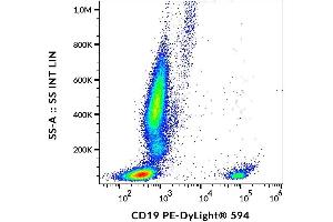 Surface staining of human peripheral blood cells with anti-human CD19 (LT19) PE-DyLight® 594. (CD19 antibody  (PE-DyLight 594))
