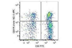 Flow Cytometry (FACS) image for anti-SLAM Family Member 7 (SLAMF7) antibody (APC) (ABIN2658187) (SLAMF7 antibody  (APC))