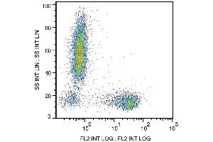 Flow Cytometry analysis  Surface staining of human peripheral blood cells with anti-human CD27 (LT27) PE. (CD27 antibody  (APC))