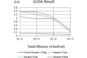 Black line: Control Antigen (100 ng),Purple line: Antigen (10 ng), Blue line: Antigen (50 ng), Red line:Antigen (100 ng) (CD8 alpha antibody  (AA 22-235))