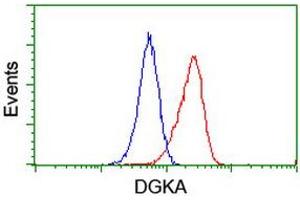 Flow Cytometry (FACS) image for anti-Diacylglycerol Kinase, alpha 80kDa (DGKA) antibody (ABIN1497815) (DGKA antibody)