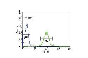 Flow cytometric analysis of HL-60 cells (right histogram) compared to a negative control cell (left histogram). (IRF8 antibody  (C-Term))