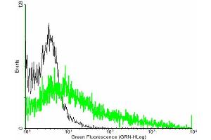 FACS analysis of negative control 293 cells (Black) and IFNGR2 expressing 293 cells (Green) using IFNGR2 purified MaxPab mouse polyclonal antibody. (IFNGR2 antibody  (AA 1-337))