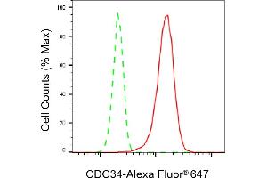 Flow cytometric analysis of CDC34 expression in HT- cells using CDC34 antibody (ABIN7798008), 1:2,000). (Recombinant CDC34 antibody)