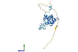 Protein Structure (PS) image for Tubulin Polymerization Promoting Protein (Tppp) (AA 1-219) protein (His tag) (ABIN7544620)