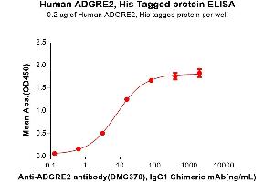 Adhesion G protein-coupled Receptor E2 (ADGRE2) (AA 24-537) protein (His tag)