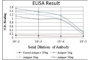 Red: Control Antigen (100 ng), Purple: Antigen (10 ng), Green: Antigen (50 ng), Blue: Antigen (100 ng), (HSPD1 antibody)