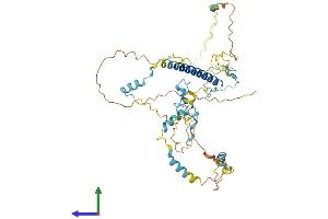 AlphaFold protein structure predicition of Human Recombinant WASH4P Protein, UniprotID A8MWX3 (WASH4P Protein (AA 1-477) (His tag))