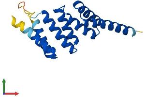 Protein Structure (PS) image for Tetratricopeptide Repeat Domain 32 (TTC32) (AA 1-151) protein (His tag) (ABIN7544935)