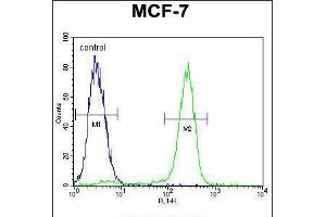 Flow cytometric analysis of MCF-7 cells (right histogram) compared to a negative control cell (left histogram). (OTOP3 antibody  (C-Term))