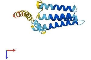 AlphaFold protein structure predicition of Human Recombinant SFT2D2 Protein, UniprotID O95562 (SFT2D2 Protein (AA 1-160) (His tag))