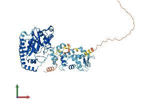 AlphaFold protein structure predicition of Mouse Recombinant Lpcat2 Protein, UniprotID Q8BYI6
