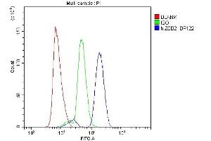 Flow Cytometry analysis of U937 cells using anti-ZEB2 antibody (ABIN3042325). (ZEB2 antibody  (AA 1-200))