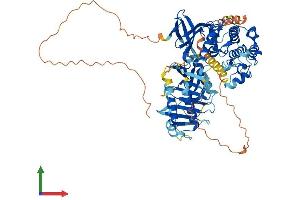 Protein Structure (PS) image for Polo-Like Kinase 2 (PLK2) (AA 1-685) protein (His tag) (ABIN7554948)