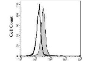 Flow Cytometric analysis of A20 cells stained with ABIN796985 (filled histogram) or isotype control (open histogram)Flow Cytometry ValidationThis antibody has been tested for flow cytometry using A20 cells.