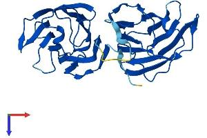 AlphaFold protein structure predicition of Mouse Recombinant Lgals6 Protein, UniprotID O54891