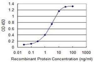 Detection limit for recombinant GST tagged ARL2BP is 0. (ARL2BP antibody  (AA 1-163))