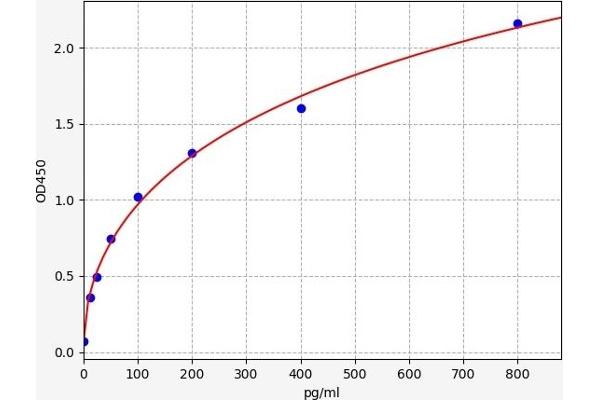 PDGFD ELISA Kit