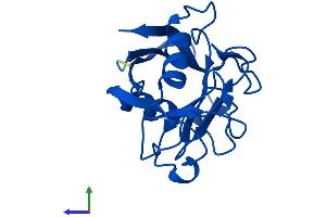 AlphaFold protein structure predicition of Human Recombinant PPIAL4D Protein, UniprotID F5H284 (PPIAL4D Protein (AA 1-164) (His tag))