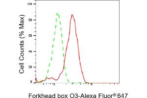 Flow cytometric analysis of Forkhead box O3 expression in HepG2 cells using Forkhead box O3 antibody (ABIN7798646), 1:2,000). (Recombinant FOXO3 antibody)