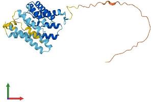 AlphaFold protein structure predicition of Human Recombinant AQP12B Protein, UniprotID A6NM10 (Aquaporin 12B Protein (AQP12B) (AA 1-295) (His tag))