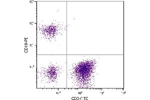 Human peripheral blood lymphocytes were stained with Mouse F(ab’)2 Anti-Human CD19-PE. (CD19 antibody  (PE))