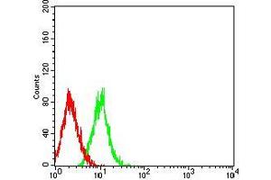 Flow cytometric analysis of HL-60 cells using TNFRSF11A mouse mAb (green) and negative control (red). (TNFRSF11A antibody  (AA 30-212))