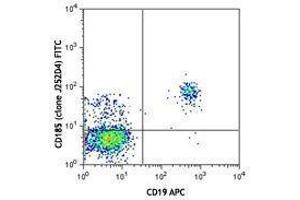 Flow Cytometry (FACS) image for anti-Chemokine (C-X-C Motif) Receptor 5 (CXCR5) antibody (FITC) (ABIN2661366) (CXCR5 antibody  (FITC))