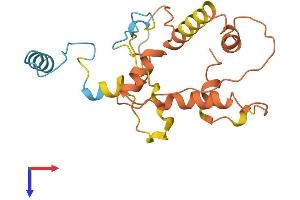 AlphaFold protein structure predicition of Human Recombinant CTSL3P Protein, UniprotID Q5NE16 (CTSL3P Protein (AA 1-218) (His tag))
