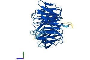 AlphaFold protein structure predicition of Human Recombinant RACK1 Protein, UniprotID P63244 (GNB2L1 Protein (AA 1-317) (His tag))