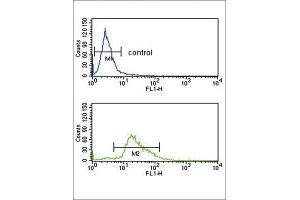 Flow Cytometry (FACS) image for anti-Plasminogen (PLG) antibody (ABIN3003132) (PLG antibody)