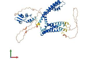 AlphaFold protein structure predicition of Mouse Recombinant Kcna6 Protein, UniprotID Q61923 (Kv1.6/KCNA6 Protein (AA 1-529) (His tag))