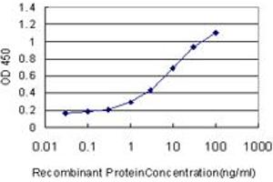 Detection limit for recombinant GST tagged GSDML is approximately 0. (Gasdermin B antibody  (AA 1-411))