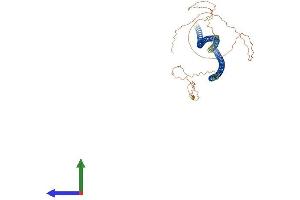 AlphaFold protein structure predicition of Mouse Recombinant Krt4 Protein, UniprotID P07744 (KRT4 Protein (AA 1-525) (His tag))