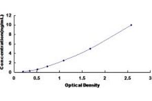 CRLF1 ELISA Kit