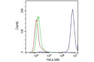 Flow cytometry testing of human HeLa cells with CD147 antibody at 1ug/10^6 cells (cells blocked with goat sera)