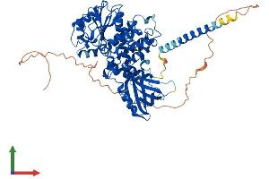 AlphaFold protein structure predicition of Human Recombinant MTMR7 Protein, UniprotID Q9Y216