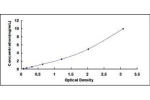 Typical standard curve (SP140 ELISA Kit)